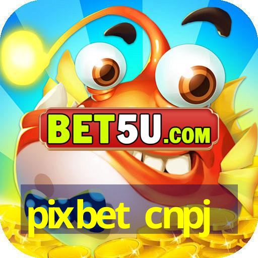 pixbet cnpj